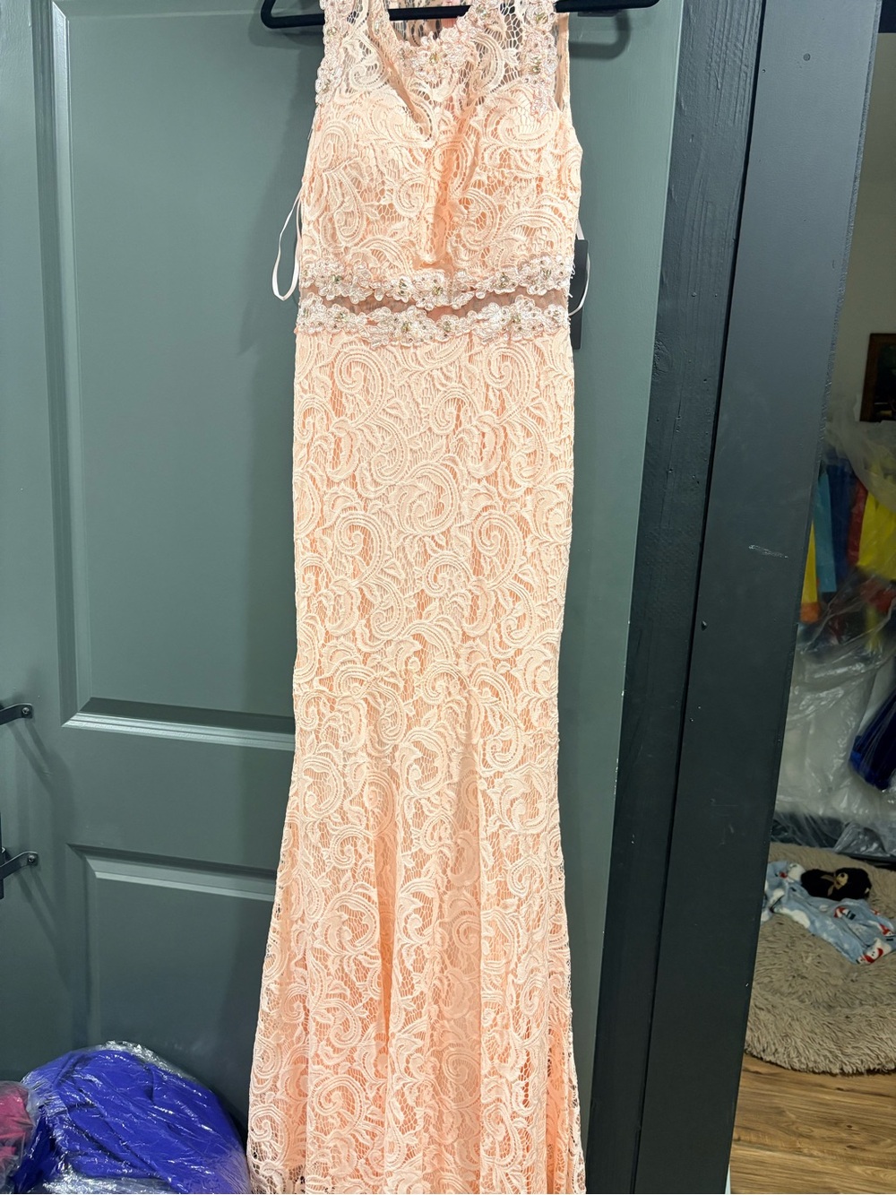 Cinderella Peach Lace Mermaid Maxi Dress